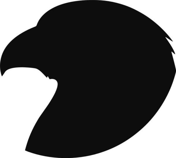 Vinyl decal sticker of a Hawk Head