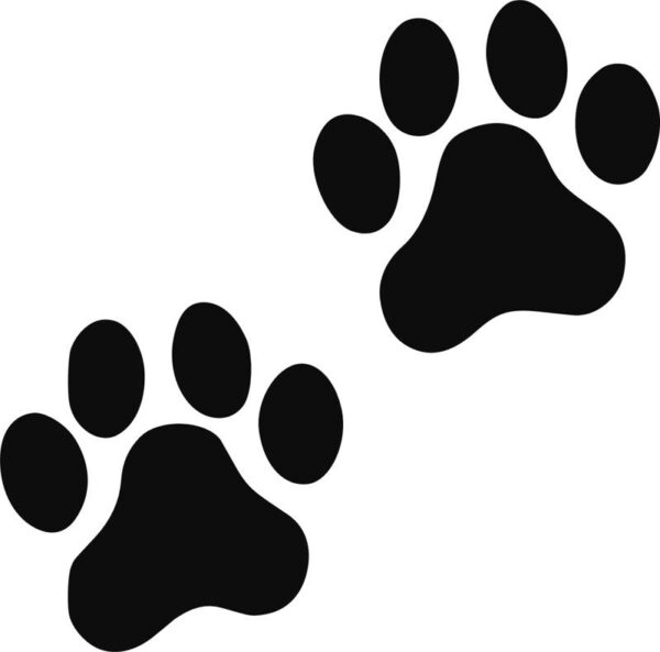 Vinyl decal sticker of Two Paw Prints